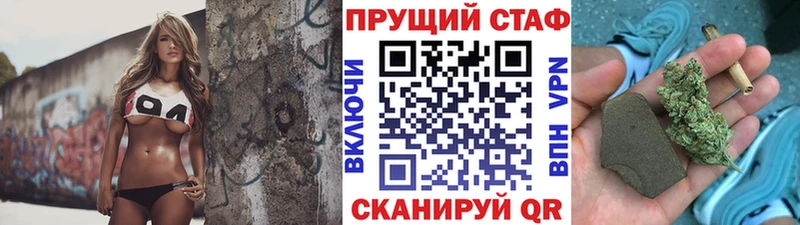 ГАШ Сураж