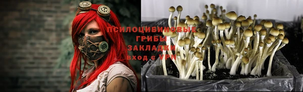 мяу мяу кристалл Алексин