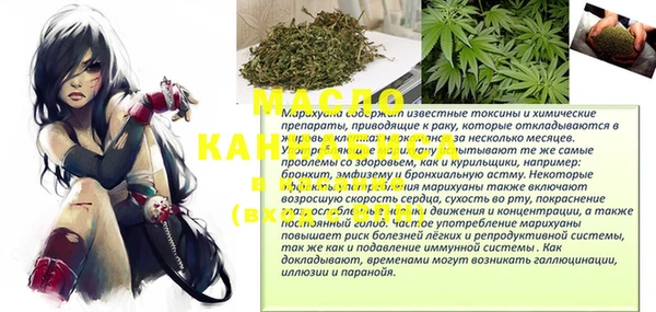 шишки Медногорск