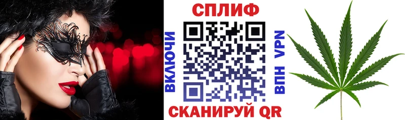 где купить наркоту  Сураж  даркнет телеграм  Каннабис Amnesia  KRAKEN зеркало 